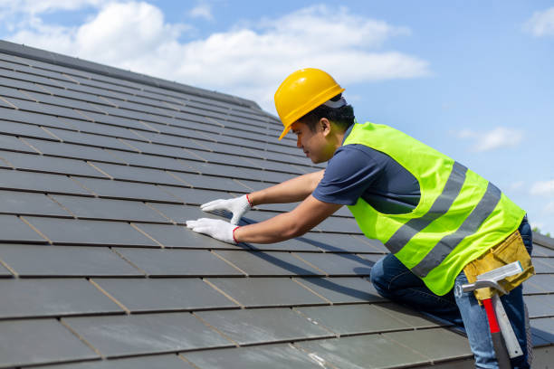 Best Roof Gutter Cleaning  in Pea Ridge, FL