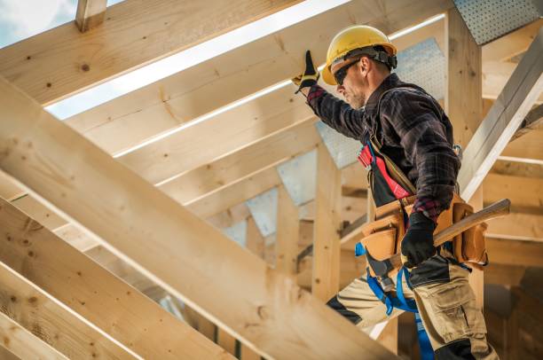 Best Roof Gutter Cleaning  in Pea Ridge, FL
