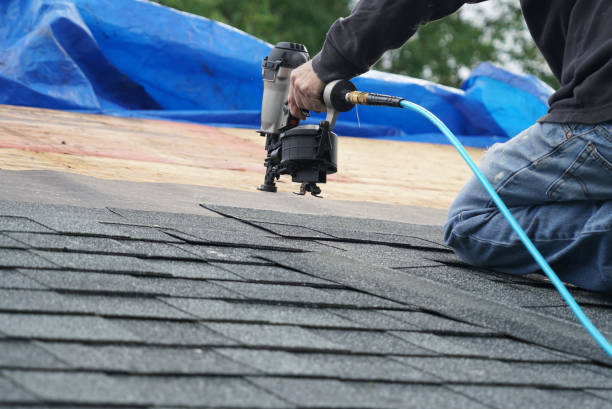 Roof Gutter Cleaning in Pea Ridge, FL