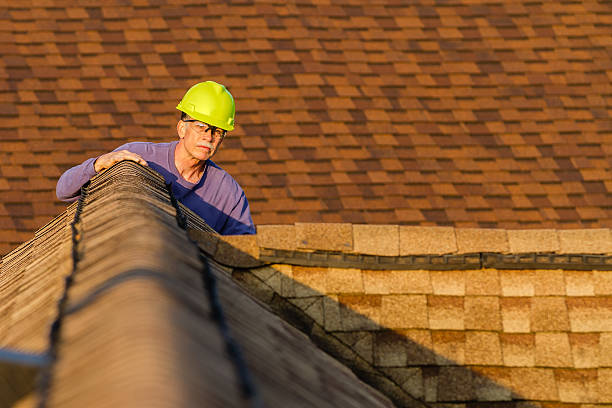Best Roof Maintenance Services  in Pea Ridge, FL